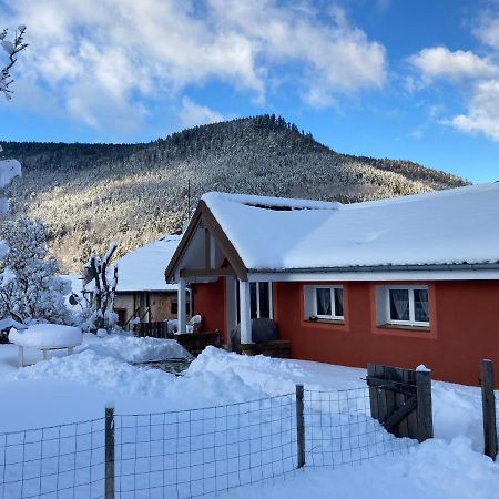 Gite Le Cerf Volant Raon-sur-Plaine Екстер'єр фото